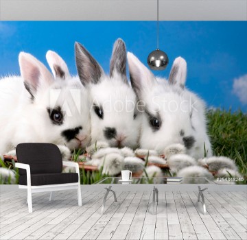 Picture of Drei Zwergkaninchen auf der grnen Wiese verstecken sich hinter Weidenktzchen